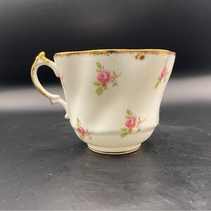 Salisbury Floral Teacup with Gold Trim